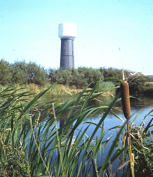 Dungeness Water Tower